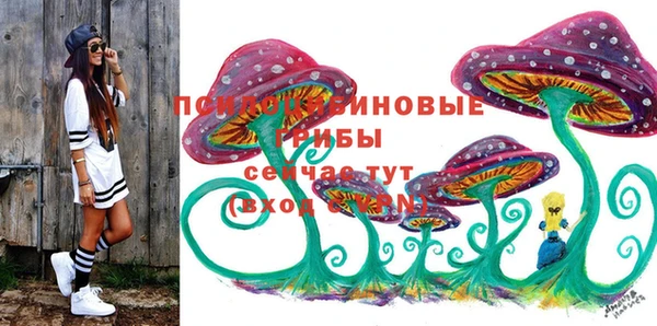 скорость Няндома