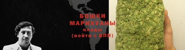молекула духа Бронницы