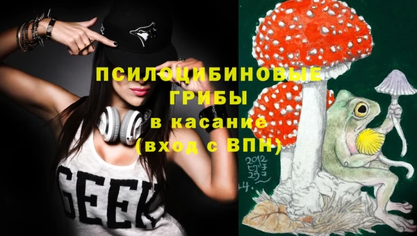 индика Бугульма